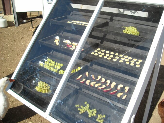 How to Dehydrate Fruit Outside Without a Solar Dehydrator - Zero