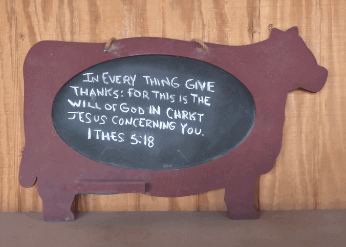 Cow Chalkboard In Every Thing Give Thanks