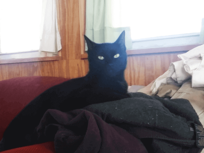 Misty - December 2025