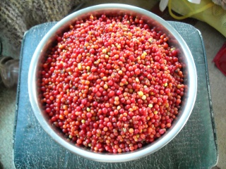 Harvested Agarita Berries