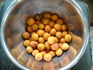 Apricots from Our Orchard