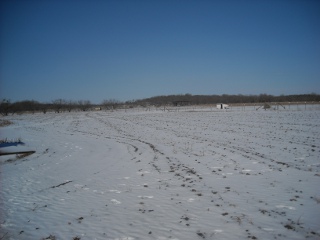 Field After Arctic Storm
