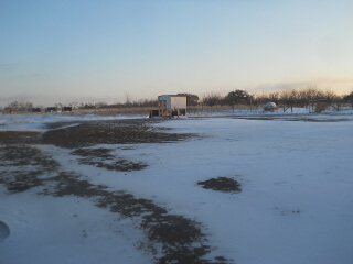 Frozen Homestead