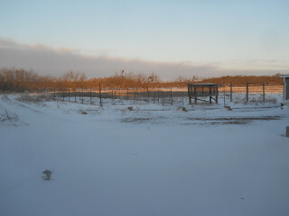 More Frozen Homestead