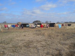 Goat Coats on the Fence