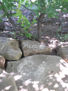 Augie Grave