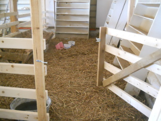 Barn Animal Stall Gate Open