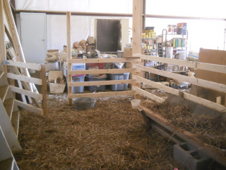 Barn Animal Stall from Inside