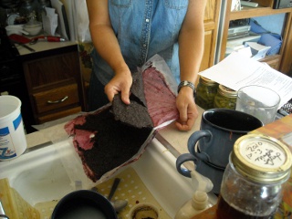 Removing Dried Blackberry Fruit Leather from Wax Paper