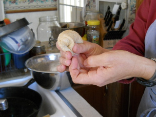 Simple Bread Rolls Shaping Roll Step A