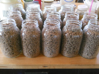 Jars Full of Browned Ground Beef