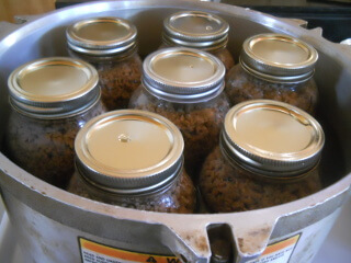 Jars in Canner