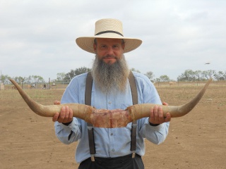 Horns of Catalina Our Texas Longhorn Cow