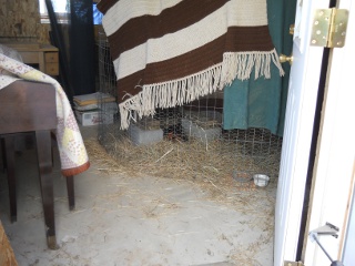 2012 Spring Chick Nursery in Piano Room