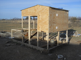 New Chicken Tractor Back & Penthouse Sections & Siding Installed