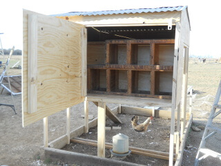 Back View of Chicken Tractor Put Back Together & Nesting Boxes