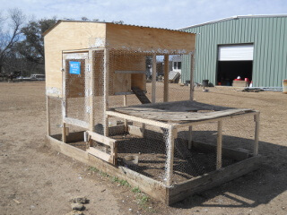 Retrofit Chicken Tractor with Chicken Wire Stapled Back On