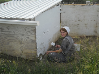 More Goat Shed Painting