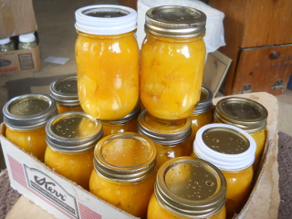 Canned Pumpkins