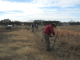 Straitening Goat Fencing