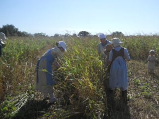 More Community Work Day Ladies & Children Weed Pulling