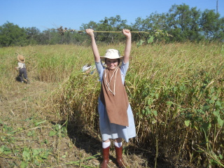 Victory Over a Weed!