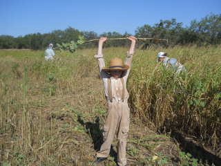 More Victory Over a Weed!