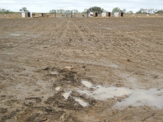 Drought 2011 Oct Rain Slopping in the Mud