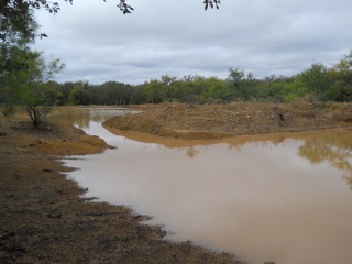 Drought 2011 Oct Rain Pond