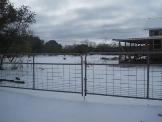 Sleet - View of House