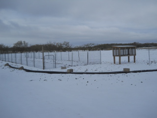 Sleet - View of Crop Field