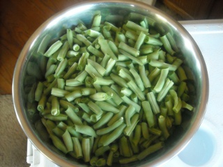 Spring Garden 2010 Bowl of Cut Green Beans