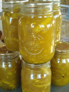 Spring Garden 2010 Canned Bread and Butter Pickles