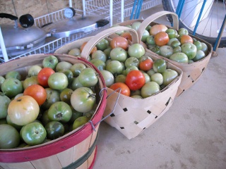 Spring Garden 2010 Fall Tomatoes in Baskets