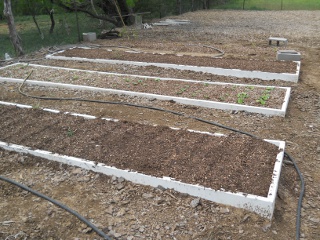 Garden Spring 2012 Raised Beds