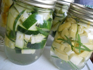 Lacto-Fermenting Squash and Zucchini