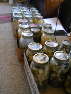 Lacto-Fermenting Garden Produce