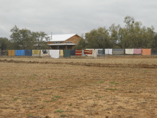 Final Look At Garden With Drying Blankets