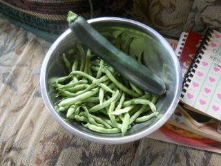 More First Garden Produce 2014