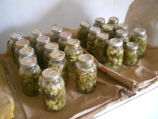 Lacto-Fermented Preserved Garden 2014 Produce