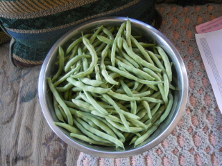 Spring 2015 Garden Green Beans