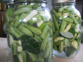 Preserved Green Beans & Zucchini