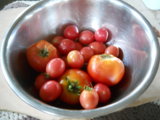 Tomatoes