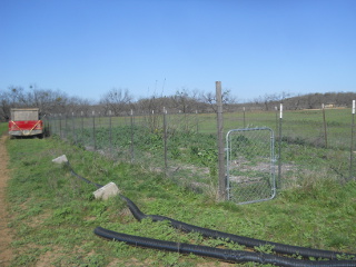 Garden After Winter