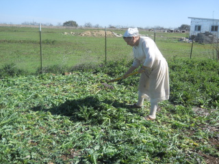 Chopping Down Weeds