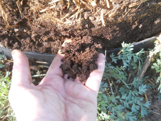 New Composted Soil