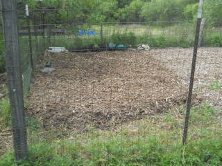 Finished Full Mulch of Garden 1