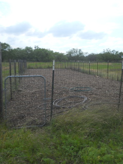 Re-mulching of Garden 2 Complete