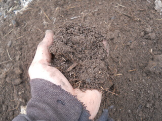 Composted Soil