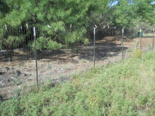 More New Mulch Layer on Garden 1